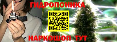 трава Краснознаменск