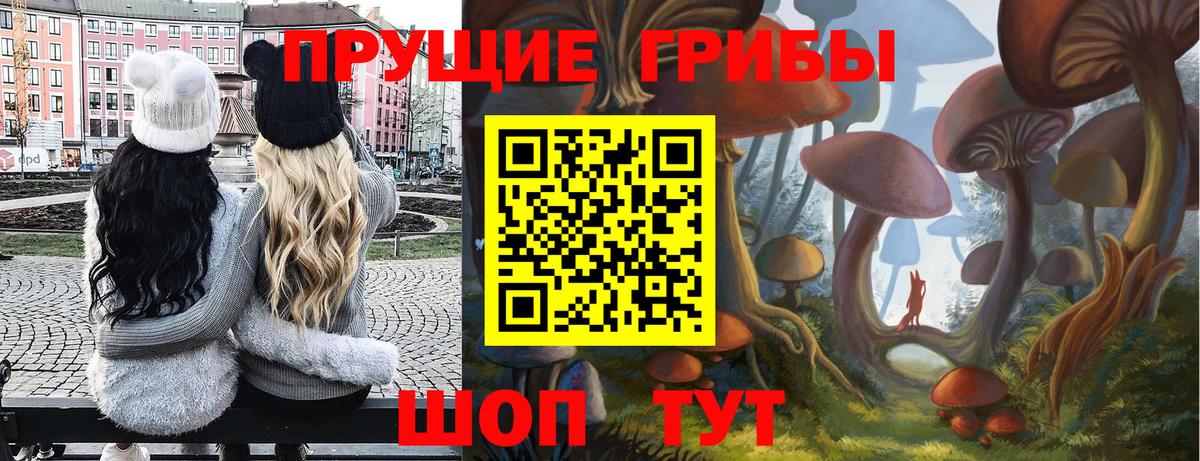 Псилоцибиновые грибы ЛСД  Вход с VPN  Камышлов 
