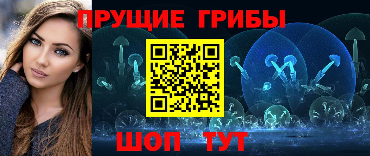 Псилоцибиновые грибы MAGIC MUSHROOMS Камышлов
